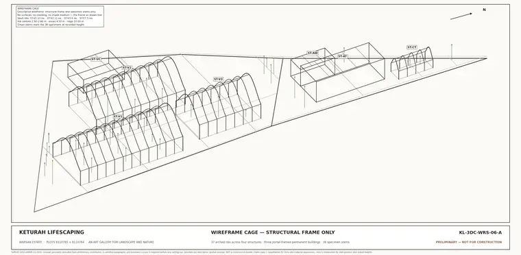 Wireframe Cage