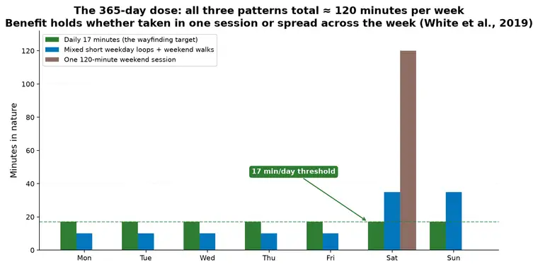 Chart Wellbeing Dose