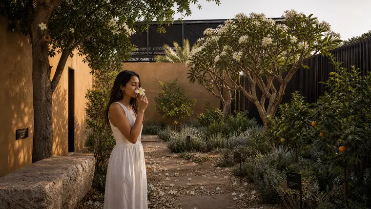 Fragrance Garden