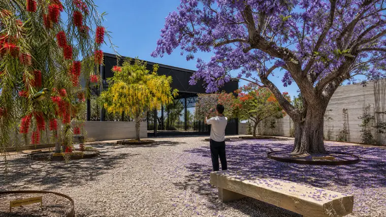 Seasonal Flowering Court