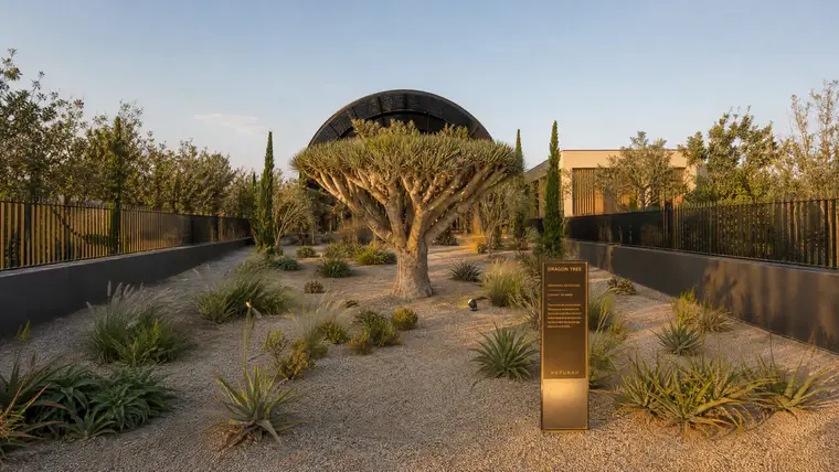 Apex Garden