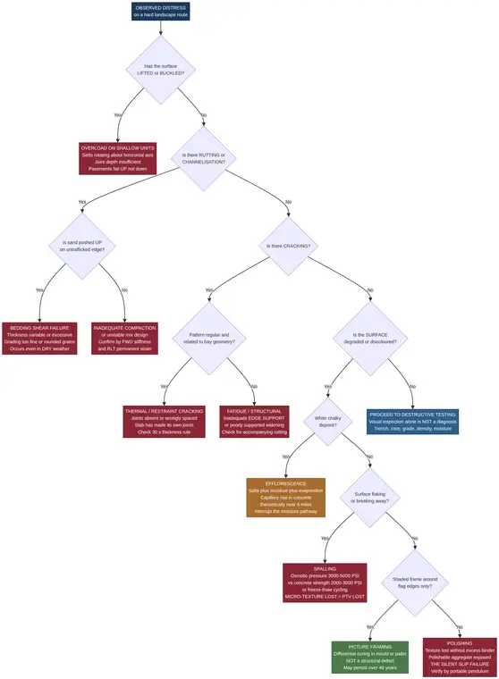 Forensic Diagram