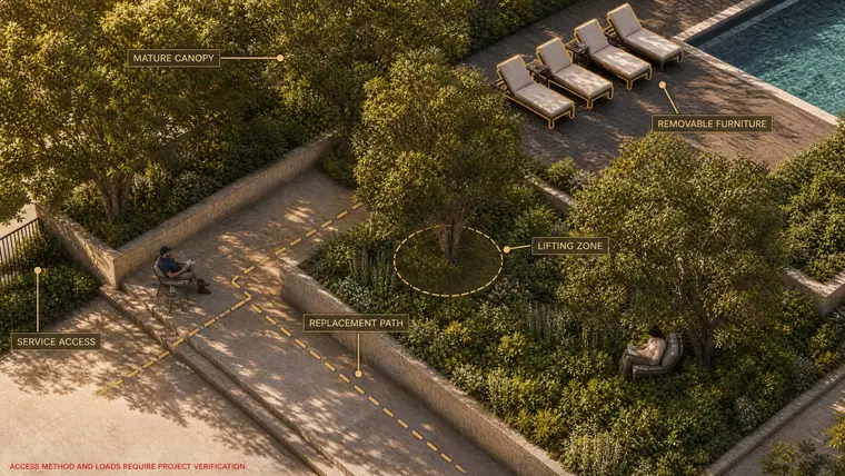 Mature Landscape Replacement Access