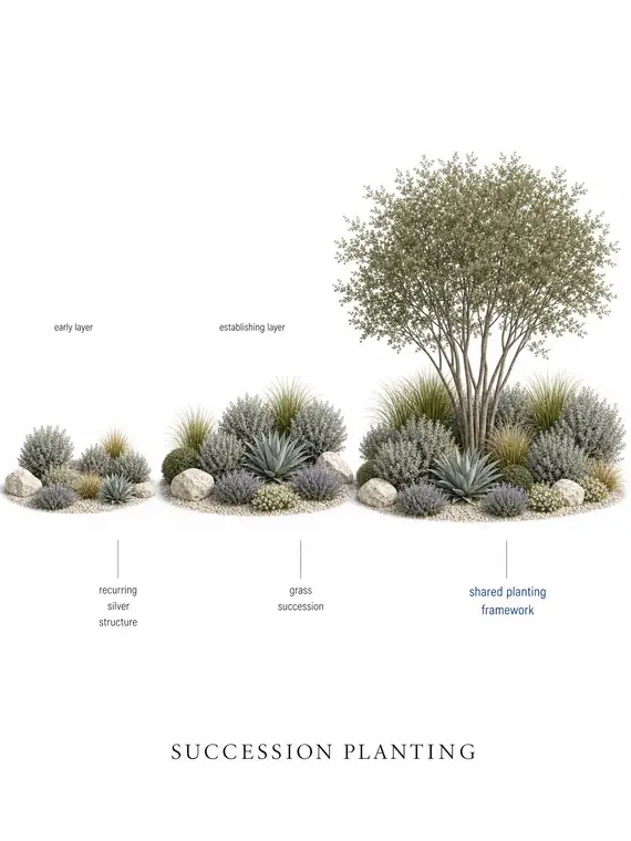 Succession Planting