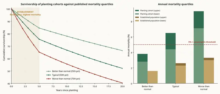 Soft Mortality Curve