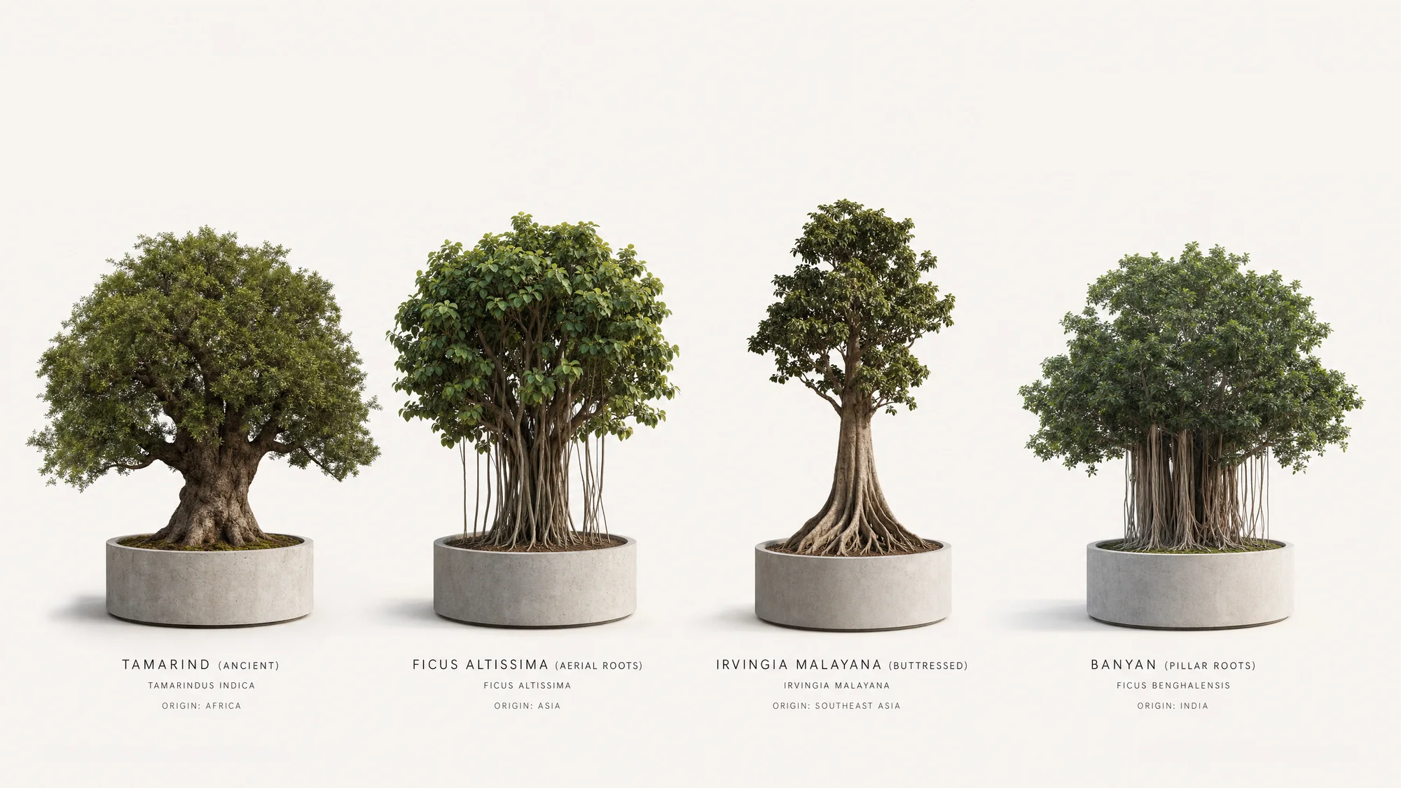 Specimen Giants
