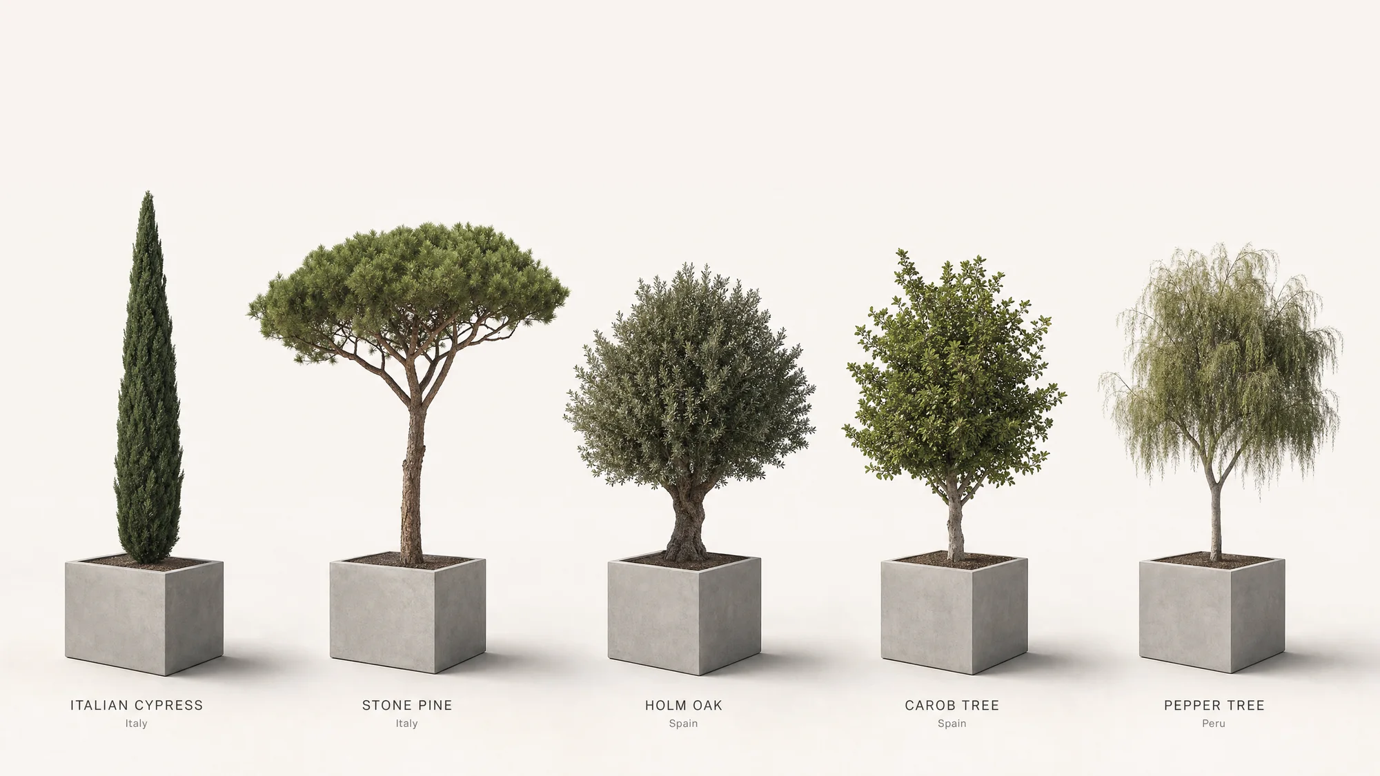 Mediterranean Collection